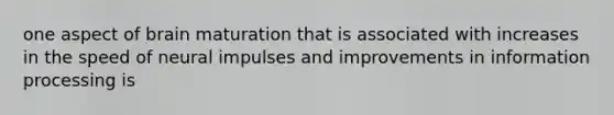 one aspect of brain maturation that is associated with increases in the speed of neural impulses and improvements in information processing is
