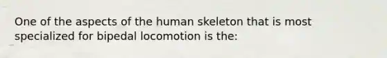 One of the aspects of the human skeleton that is most specialized for bipedal locomotion is the: