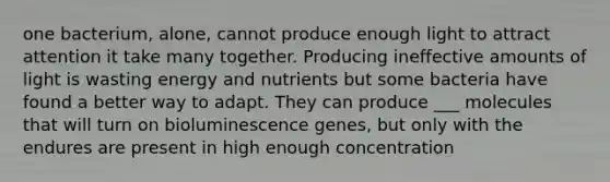 one bacterium, alone, cannot produce enough light to attract attention it take many together. Producing ineffective amounts of light is wasting energy and nutrients but some bacteria have found a better way to adapt. They can produce ___ molecules that will turn on bioluminescence genes, but only with the endures are present in high enough concentration