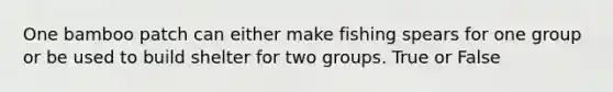 One bamboo patch can either make fishing spears for one group or be used to build shelter for two groups. True or False