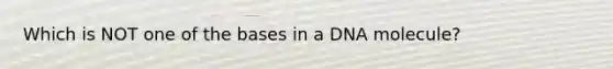 Which is NOT one of the bases in a DNA molecule?