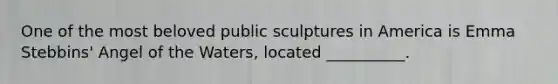 One of the most beloved public sculptures in America is Emma Stebbins' Angel of the Waters, located __________.