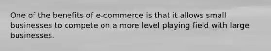 One of the benefits of e-commerce is that it allows small businesses to compete on a more level playing field with large businesses.