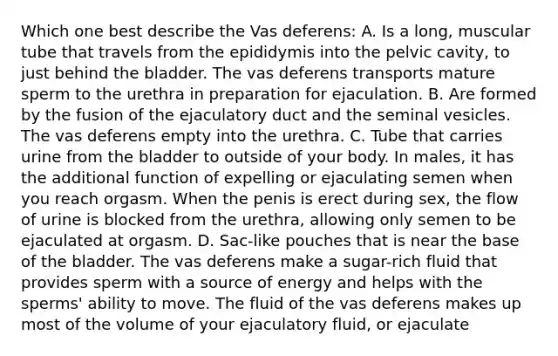 Which one best describe the Vas deferens: A. Is a long, muscular tube that travels from the epididymis into the pelvic cavity, to just behind the bladder. The vas deferens transports mature sperm to the urethra in preparation for ejaculation. B. Are formed by the fusion of the ejaculatory duct and the seminal vesicles. The vas deferens empty into the urethra. C. Tube that carries urine from the bladder to outside of your body. In males, it has the additional function of expelling or ejaculating semen when you reach orgasm. When the penis is erect during sex, the flow of urine is blocked from the urethra, allowing only semen to be ejaculated at orgasm. D. Sac-like pouches that is near the base of the bladder. The vas deferens make a sugar-rich fluid that provides sperm with a source of energy and helps with the sperms' ability to move. The fluid of the vas deferens makes up most of the volume of your ejaculatory fluid, or ejaculate