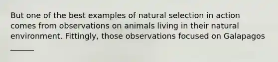 But one of the best examples of natural selection in action comes from observations on animals living in their natural environment. Fittingly, those observations focused on Galapagos ______