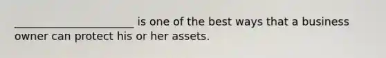 ______________________ is one of the best ways that a business owner can protect his or her assets.