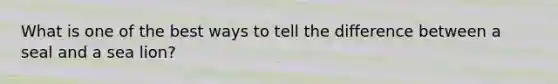 What is one of the best ways to tell the difference between a seal and a sea lion?