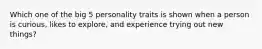 Which one of the big 5 personality traits is shown when a person is curious, likes to explore, and experience trying out new things?