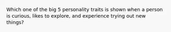 Which one of the big 5 personality traits is shown when a person is curious, likes to explore, and experience trying out new things?