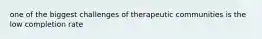 one of the biggest challenges of therapeutic communities is the low completion rate