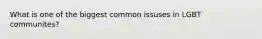 What is one of the biggest common issuses in LGBT communites?