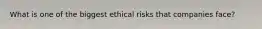 What is one of the biggest ethical risks that companies face?