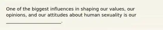 One of the biggest influences in shaping our values, our opinions, and our attitudes about human sexuality is our ________________________.