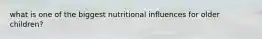 what is one of the biggest nutritional influences for older children?