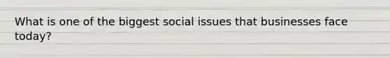 What is one of the biggest social issues that businesses face today?