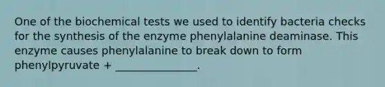 One of the biochemical tests we used to identify bacteria checks for the synthesis of the enzyme phenylalanine deaminase. This enzyme causes phenylalanine to break down to form phenylpyruvate + _______________.