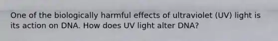 One of the biologically harmful effects of ultraviolet (UV) light is its action on DNA. How does UV light alter DNA?