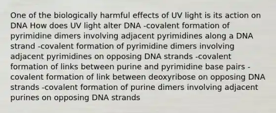 One of the biologically harmful effects of UV light is its action on DNA How does UV light alter DNA -covalent formation of pyrimidine dimers involving adjacent pyrimidines along a DNA strand -covalent formation of pyrimidine dimers involving adjacent pyrimidines on opposing DNA strands -covalent formation of links between purine and pyrimidine base pairs -covalent formation of link between deoxyribose on opposing DNA strands -covalent formation of purine dimers involving adjacent purines on opposing DNA strands