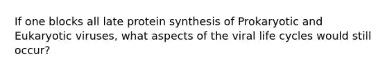 If one blocks all late protein synthesis of Prokaryotic and Eukaryotic viruses, what aspects of the viral life cycles would still occur?