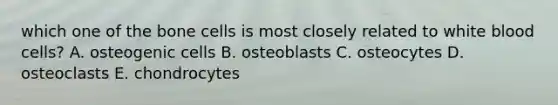 which one of the bone cells is most closely related to white blood cells? A. osteogenic cells B. osteoblasts C. osteocytes D. osteoclasts E. chondrocytes