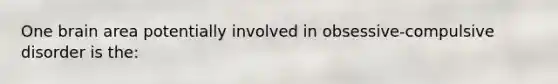 One brain area potentially involved in obsessive-compulsive disorder is the: