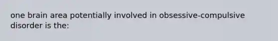 one brain area potentially involved in obsessive-compulsive disorder is the: