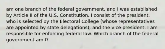 am one branch of the federal government, and I was established by Article II of the U.S. Constitution. I consist of the president, who is selected by the Electoral College (whose representatives are appointed by state delegations), and the vice president. I am responsible for enforcing federal law. Which branch of the federal government am I?