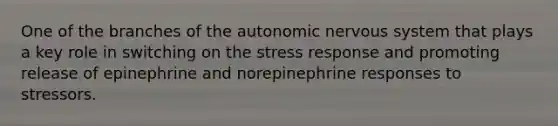 One of the branches of the autonomic nervous system that plays a key role in switching on the stress response and promoting release of epinephrine and norepinephrine responses to stressors.