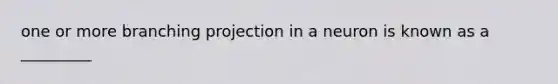 one or more branching projection in a neuron is known as a _________