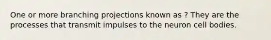 One or more branching projections known as ? They are the processes that transmit impulses to the neuron cell bodies.