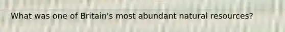 What was one of Britain's most abundant natural resources?
