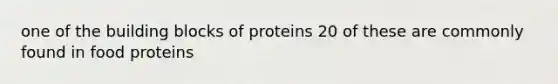 one of the building blocks of proteins 20 of these are commonly found in food proteins