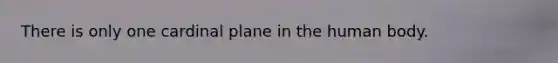 There is only one cardinal plane in the human body.