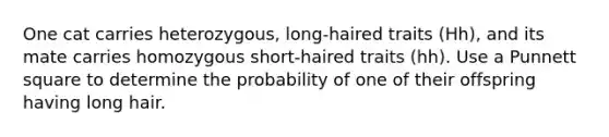 One cat carries heterozygous, long-haired traits (Hh), and its mate carries homozygous short-haired traits (hh). Use a Punnett square to determine the probability of one of their offspring having long hair.