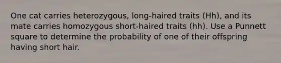 One cat carries heterozygous, long-haired traits (Hh), and its mate carries homozygous short-haired traits (hh). Use a Punnett square to determine the probability of one of their offspring having short hair.