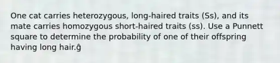 One cat carries heterozygous, long-haired traits (Ss), and its mate carries homozygous short-haired traits (ss). Use a Punnett square to determine the probability of one of their offspring having long hair.ĝ