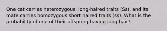 One cat carries heterozygous, long-haired traits (Ss), and its mate carries homozygous short-haired traits (ss). What is the probability of one of their offspring having long hair?