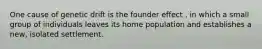 One cause of genetic drift is the founder effect , in which a small group of individuals leaves its home population and establishes a new, isolated settlement.