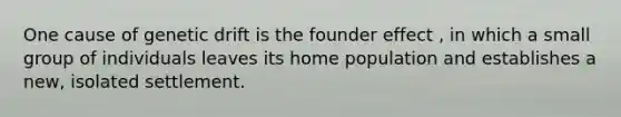 One cause of genetic drift is the founder effect , in which a small group of individuals leaves its home population and establishes a new, isolated settlement.