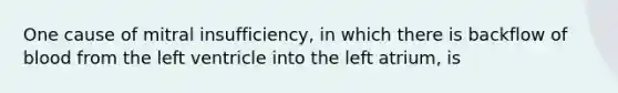 One cause of mitral insufficiency, in which there is backflow of blood from the left ventricle into the left atrium, is