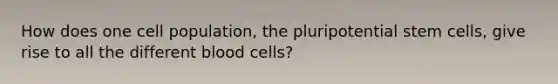 How does one cell population, the pluripotential stem cells, give rise to all the different blood cells?