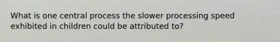 What is one central process the slower processing speed exhibited in children could be attributed to?