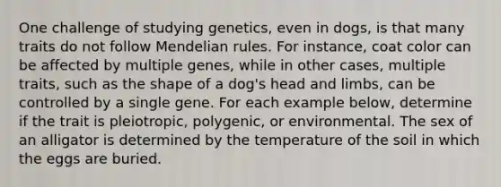 One challenge of studying genetics, even in dogs, is that many traits do not follow Mendelian rules. For instance, coat color can be affected by multiple genes, while in other cases, multiple traits, such as the shape of a dog's head and limbs, can be controlled by a single gene. For each example below, determine if the trait is pleiotropic, polygenic, or environmental. The sex of an alligator is determined by the temperature of the soil in which the eggs are buried.