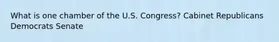 What is one chamber of the U.S. Congress? Cabinet Republicans Democrats Senate