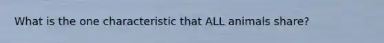 What is the one characteristic that ALL animals share?