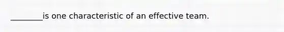 ________is one characteristic of an effective team.