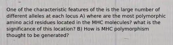 One of the characteristic features of the is the large number of different alleles at each locus A) where are the most polymorphic amino acid residues located in the MHC molecules? what is the significance of this location? B) How is MHC polymorphism thought to be generated?