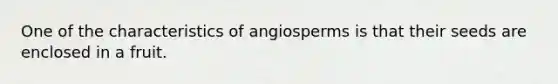 One of the characteristics of angiosperms is that their seeds are enclosed in a fruit.