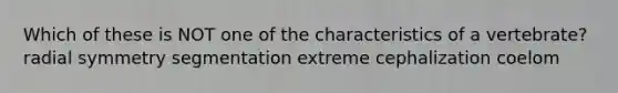 Which of these is NOT one of the characteristics of a vertebrate? radial symmetry segmentation extreme cephalization coelom