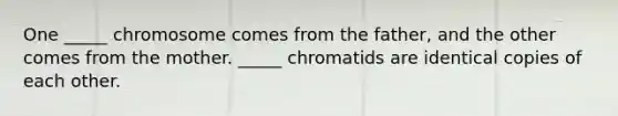 One _____ chromosome comes from the father, and the other comes from the mother. _____ chromatids are identical copies of each other.